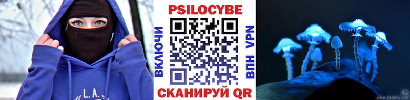 Псилоцибиновые грибы GOLDEN TEACHER  хочу наркоту  Заозёрный 